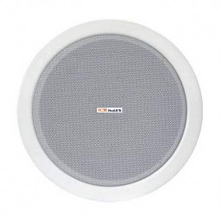 Ceiling loudspeaker for PA system