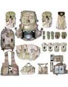Clothing, Individual Equipment, and Insignia